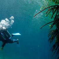 cenotes-diving.jpeg