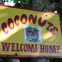 Coconuts Bar & Grill Cozumel Wild Side