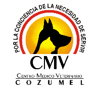 CMV Cozumel
