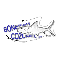 Bonefish Cozumel