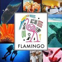 Flamingo Hotel Cozumel