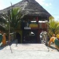 Rastas Cozumel