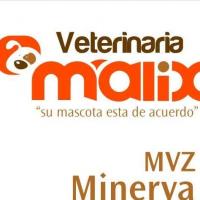 Veterinaria Malix Cozumel