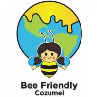 Bee friendly Cozumel