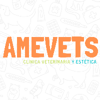 AMEvets