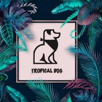Tropical Dog