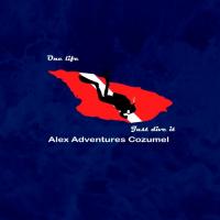 Alex Adventures Cozumel