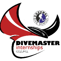 Divemaster Internships by Cozumel Dive School