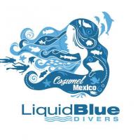 Liquid Blue Diving Cozumel