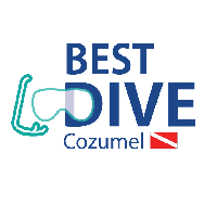 Best Dive Cozumel