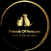 Friends Of Rescues Animal Shelters Built Charity