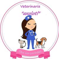 Veterinaria Axolotl