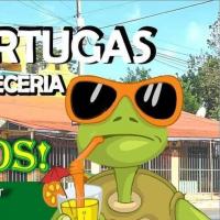 Las Tortugas