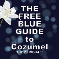 The Free Blue Guide