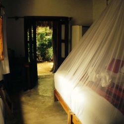 yogashala-dorm.jpg