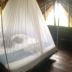 yogashala-room.jpg