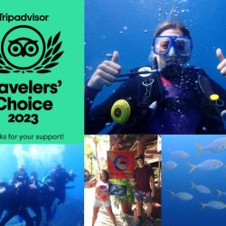 tripadvisor-2023.jpg