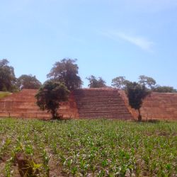 la-soledad-de-maciel-xihuacan-11.jpg