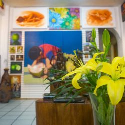 interior-decorating-paint-suazo-artist.jpg