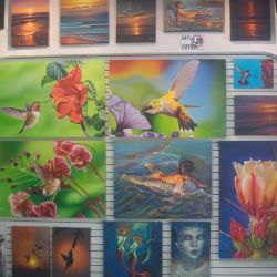 original-painting-art-gallery-zihuatanejo.jpg