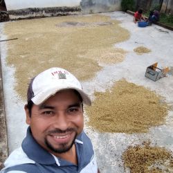 cafe-oro-magico-producto-3.jpg