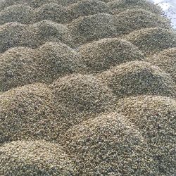 cafe-oro-magico-producto-4.jpg
