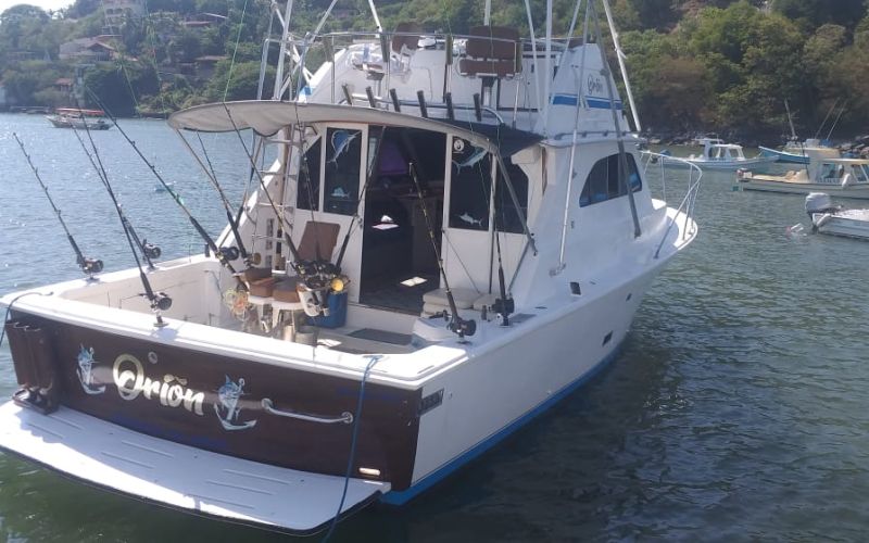 Yate Orion Popa.jpeg