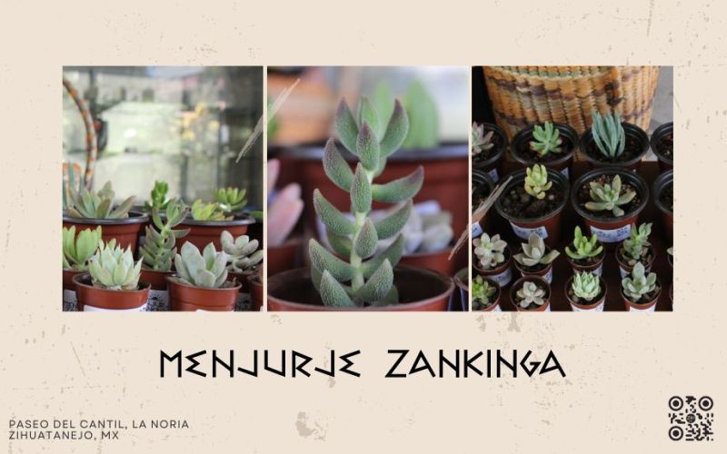 Cover Menjurje Zankinga    X   Px 