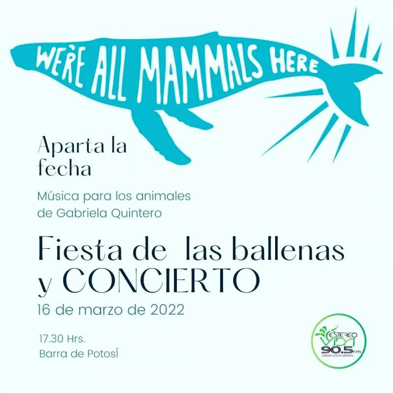 Fiesta de las Ballenas y Concierto