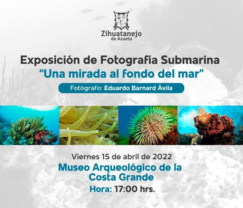 Exposicion de Fotografía Submarina